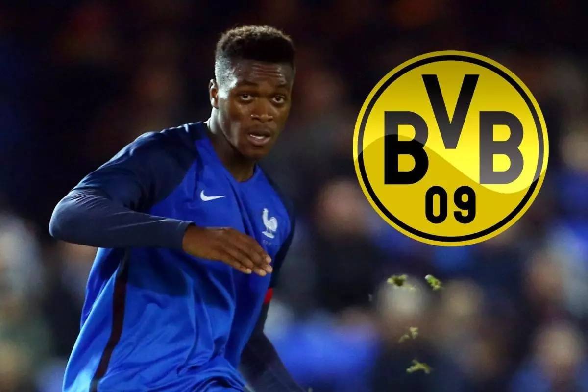 括高纤维 括高纤维